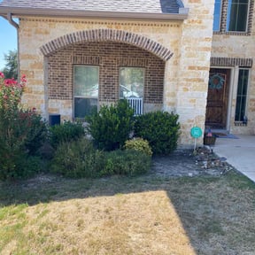 Flower Bed Weeding by Bulldog Landscape reviewed on August 17, 2025