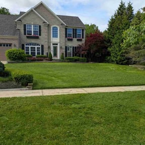 yard service by First Class Lawn reviewed on July 9, 2025