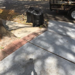 Leaf Removal by SC Organic Landscapes reviewed on September 19, 2025