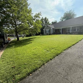 yard care by Green World Lawn Care reviewed on August 20, 2025