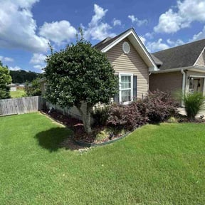 yard maintenance by Crowell Property Improvement reviewed on August 17, 2025