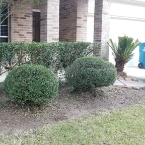 Bush Trimming by Chad's Mowing Service reviewed on August 18, 2025
