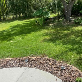 lawn care services by Fresh Clean Cuts LLC reviewed on July 10, 2025