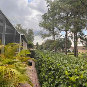 Bush Trimming by KevnLori Professional Lawn Care LLC reviewed on August 20, 2025