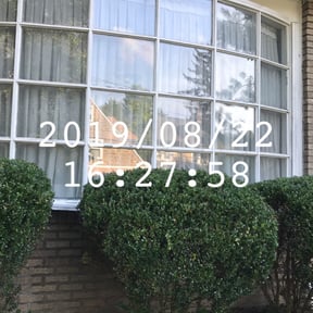 Bush Trimming by Sage Landcrafters reviewed on August 15, 2025