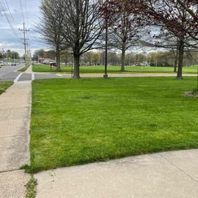 landscaping services by CNR Landscaping reviewed on August 18, 2025