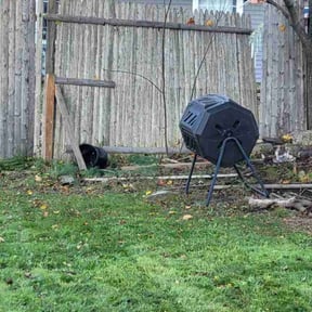 Leaf Removal by David landscaping &amp; stone work/fence reviewed on June 16, 2026