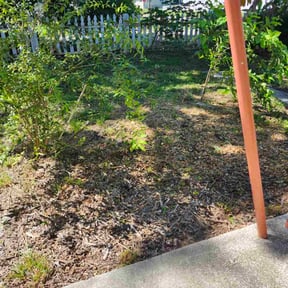 Bush Trimming by Waters Landscaping reviewed on January 2, 2023