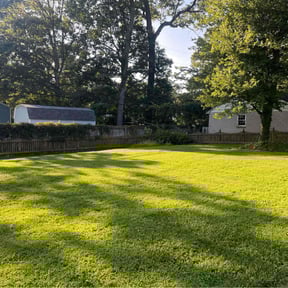 landscape maintenance by Quentin Jones Lawn services reviewed on November 30, 2025