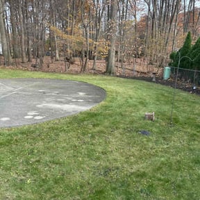 Leaf Removal by David landscaping services reviewed on November 22, 2025