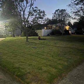 Leaf Removal by GreenLand Landscaping LLC reviewed on November 10, 2025