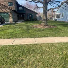 Leaf Removal by All South Lawn Services reviewed on March 27, 2026