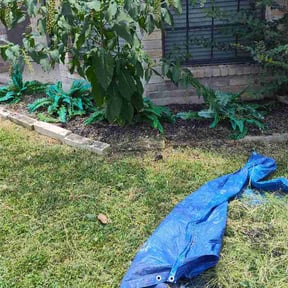 Flower Bed Weeding by KaiTech Landscape reviewed on June 27, 2026