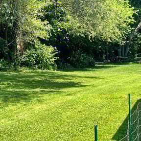 landscaping by Cutting up Lawn and Tree Care reviewed on August 18, 2025