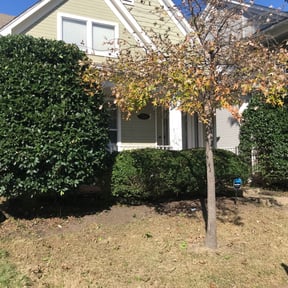 Bush Trimming by Jstotalservices reviewed on August 17, 2025