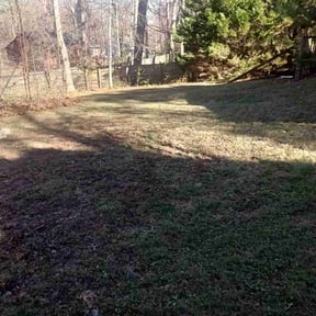 Leaf Removal by Bush GODZ Landscaping reviewed on October 14, 2026