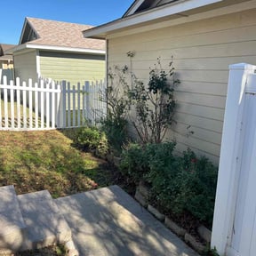 Bush Trimming by Yanez Brothers Landscaping reviewed on August 21, 2025