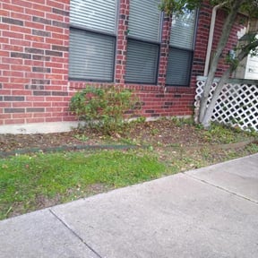 Bush Trimming by FOlawn reviewed on August 21, 2025