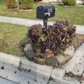 Bush Trimming by Apollo Lawncare LLC reviewed on August 18, 2025