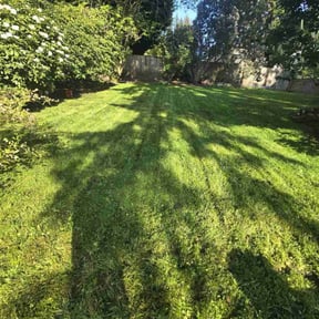 turf maintenance by Jays lawn care reviewed on April 5, 2024