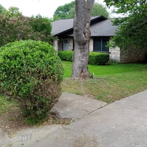 Bush Trimming by Erick's Lawn Maintenance reviewed on August 14, 2025