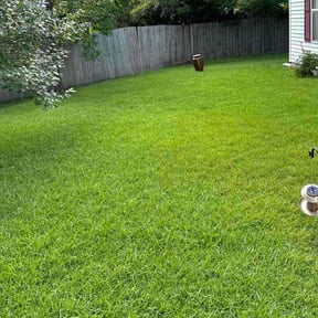 landscape maintenance by BDT BUILDERS LANDSCAPE N DESIGN reviewed on June 11, 2022