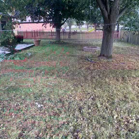 Bush Trimming by Alan's Mowing reviewed on August 19, 2025