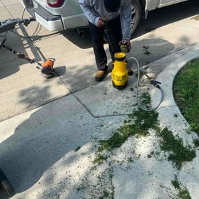 Flower Bed Weeding by Major Services reviewed on April 26, 2026