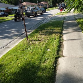Bush Trimming by No Mow Worries Lawn Care reviewed on August 20, 2025