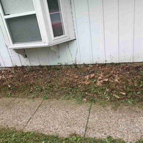 Flower Bed Weeding by Colirium investment llc reviewed on June 29, 2026