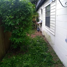 Bush Trimming by 20-20 Lawn Care reviewed on August 16, 2025