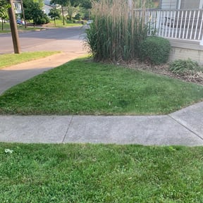 Bush Trimming by LA lawn care reviewed on August 17, 2025