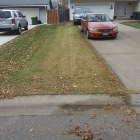 Leaf Removal by B&amp;SS reviewed on September 12, 2025