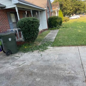 Bush Trimming by Rivera Brother Landscaping reviewed on August 17, 2025