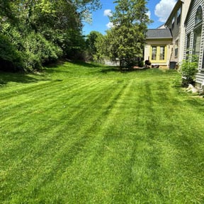 yard service by Wolverine Lawncare reviewed on August 15, 2025