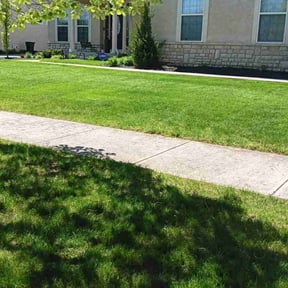 yard service by Ransom lawn care reviewed on December 5, 2025