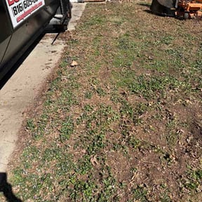 Leaf Removal by Wildroot Landscape Solutions reviewed on July 7, 2026