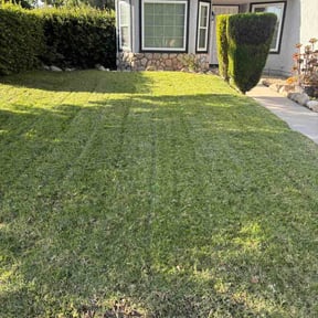 Bush Trimming by Do All Services LLC reviewed on June 3, 2026