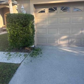 Bush Trimming by Shaw Bennett Contractor reviewed on November 23, 2025