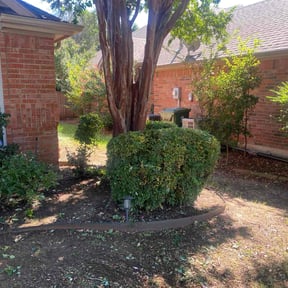 Bush Trimming by Rivera Brother Landscaping reviewed on November 20, 2025