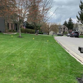 yard maintenance by 618'S Snappin Out Lawn Care reviewed on August 20, 2025