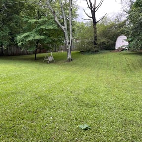 landscaping by Tiaras Lawn care reviewed on August 16, 2025