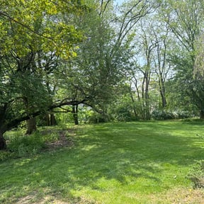 landscaping services by Rivera and Son's Services reviewed on August 18, 2025