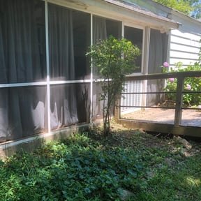 Bush Trimming by On-Center Decks LLC reviewed on August 21, 2025
