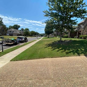 landscaping by DrLawnCare LLC reviewed on August 15, 2025