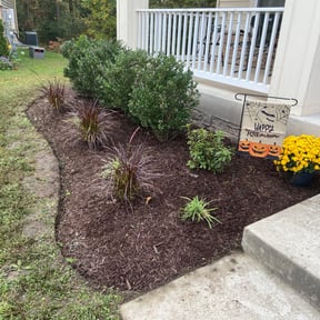 Flower Bed Weeding by Wright Pro Services reviewed on August 17, 2025