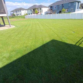 landscaping by All cut reviewed on September 26, 2024