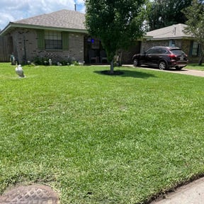 yard maintenance by Mighty Mavericks Yard and Landscaping Heroes reviewed on August 16, 2025