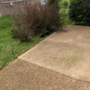 Bush Trimming by Proppa prop lawn care reviewed on August 21, 2025