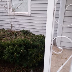 Bush Trimming by SGP Lawn Services reviewed on August 21, 2025